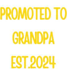 Promoted to grandpa 2024 T shirt