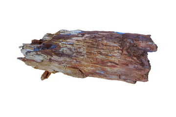 Old rotten log isolate on a white background.