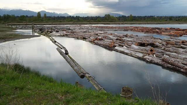 Tranquil River Scene with Floating Logs and Distant Mountains