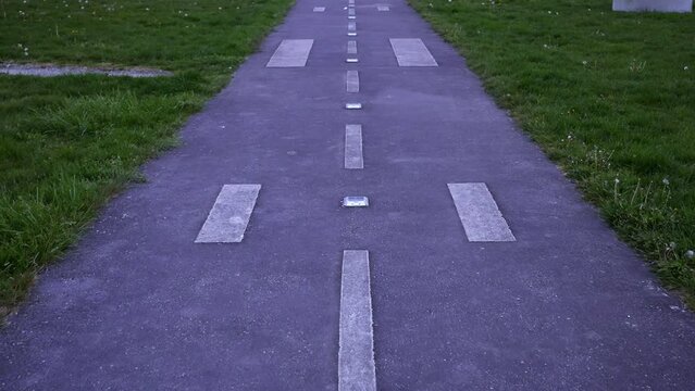 Symmetrical Park Pathway With Geometric Stone Patterns