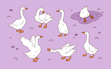 Set of cute white goose. Hand drawn vector illustration.