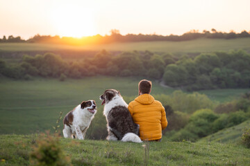 Happy dog and man playing outdoor