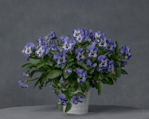 A bouquet of pansies in a vase