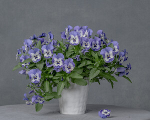 A bouquet of pansies in a vase