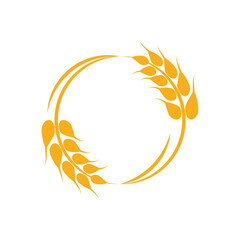 Agriculture wheat logo vector template and symbol