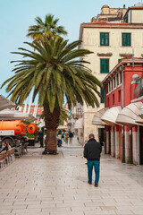 A man walking along the old town in Split near a palm tree | człowiek idący wzdłuż starego miast w Splicie nieopodal palmy | čovjek šeće starom gradskom jezgrom u Splitu u blizini palme