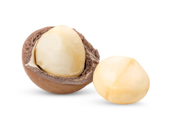 macadamia nuts isolated on transparent png