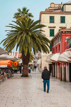 A man walking along the old town in Split near a palm tree | człowiek idący wzdłuż starego miast w Splicie nieopodal palmy | čovjek &scaron;eće starom gradskom jezgrom u Splitu u blizini palme