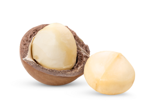 macadamia nuts isolated on transparent png