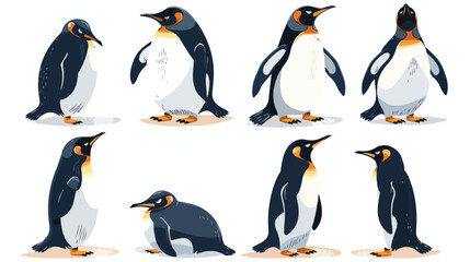 Penguin characters in different poses set Vector illustration