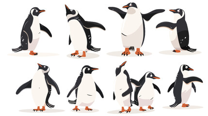 Penguin characters in different poses set Vector illustration