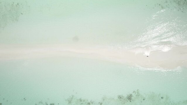 Cayo de agua in los roques with turquoise waters and white sands, ascending shot, aerial view