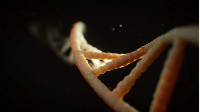 chromosomes on a black background