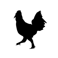 Beautiful black chicken vector silhouette art.This is an editable vector file.