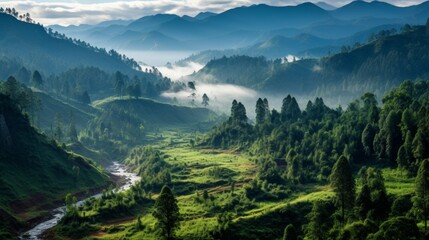 Fototapeta premium Majestic mountain landscape with lush green forests and misty valleys