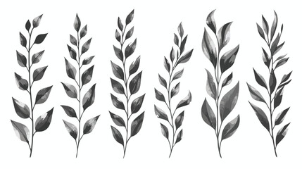 Set of monochrome laurel leafs Vector illustration. vector
