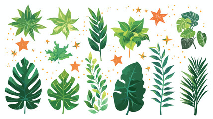 Set of plants and flying star Vector illustration. vector
