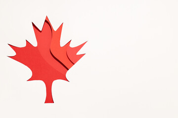 Red maple leaf on a white background