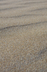 Fototapeta na wymiar Grain of sand