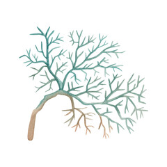 Blue coral branch watercolor illustration isolated on white. Tropical sea reef animal clipart in simple monochrome style. Underwater seaweed and marine element for nautical prints