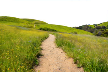 path in the countryside, PNG file
