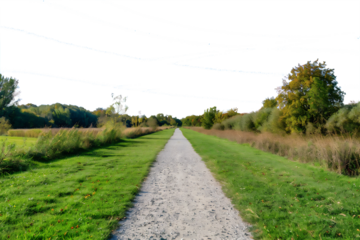 road in the country, PNG file