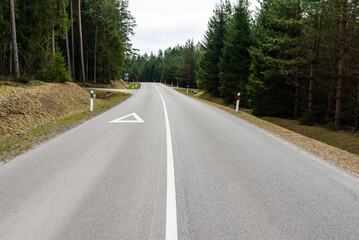 Fototapeta premium Winding empty asphalt in the forest, spring.