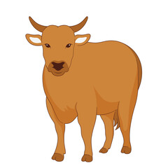Eid Al-Adha Cow Animal Illustration