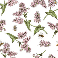 Naklejka premium Seamless pattern with honeybees pollinating blooming buckwheat plants