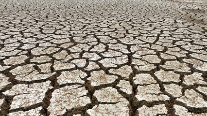 Barren landscape, a canvas of parched earth. Cracks etch intricate designs, a testament to nature's...