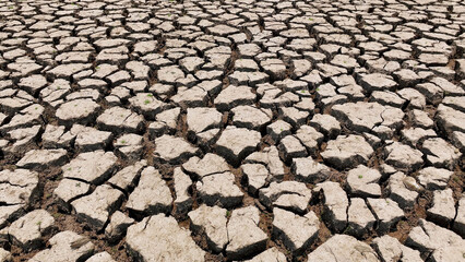 A bird's-eye view reveals the desolate landscape, cracked and barren, a testament to relentless drought. This stark image epitomizes environmental crisis and the urgent need for water conservation.

