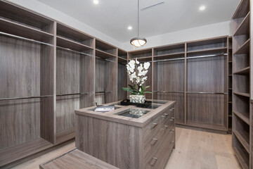 Spacious walk-in closet with ample storage in a modern new construction home in Los Angeles