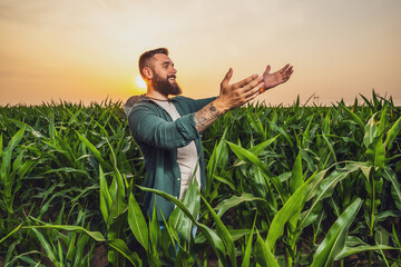 Portrait of farmer who is cultivating corn. He is satisfied with good progress of plants....