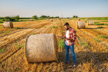 Farmer is standing beside bales of hay. He is examining straw after successful harvesting.