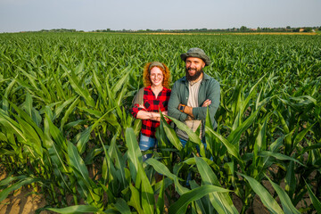 Family agricultural occupation. Man and woman are cultivating corn. They are satisfied with good progress of plants.