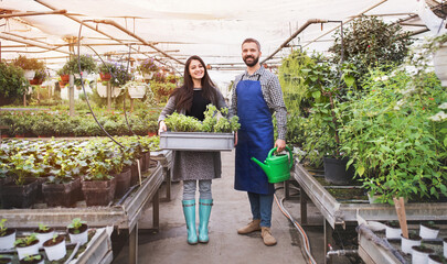 Gardener and customer holding watering can and plastic crate, plant tray. Small greenhouse business.
