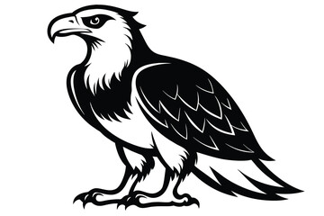 Solid color African Fish Eagle vector design