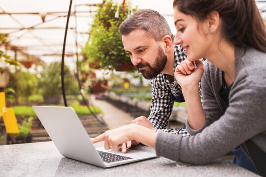 Female business owner and gardener looking at order in laptop, preparing flowers and seedlings for customer. Small greenhouse business.
