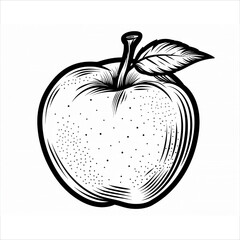 black line apples on a white background, educational fruit to introduce colors