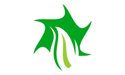 abstract leaf logo