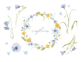 Set of watercolor flowers. Watercolor floral wreath with cornflowers, bells and dandelions
