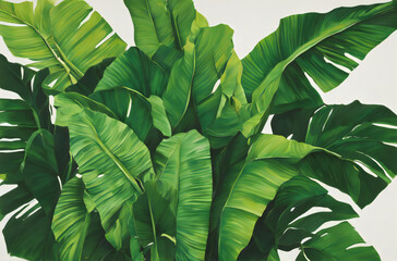 A painting large green leafy plant with a white background