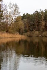 a lake in the forest in windy weather with the reflection of trees