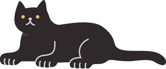 Black cat with bright eyes