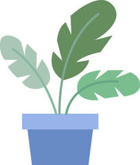 Green plant in the flowerpot