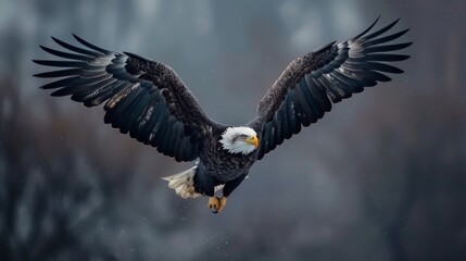 Hyper-realistic tattoo of a majestic eagle in flight, feathers detailed with astonishing realism, set against an isolated background, evoking a sense of freedom