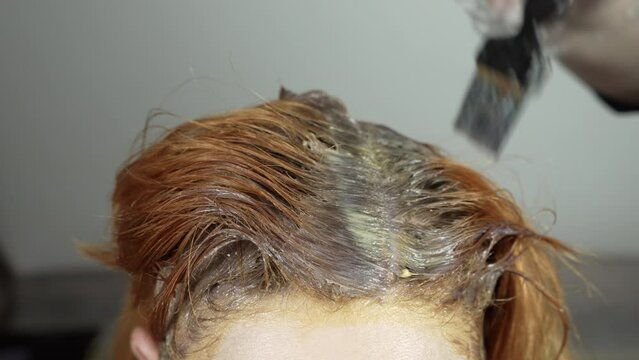 Applying dye to the regrown roots of red hair. Professional hair coloring in a hairdressing salon by a stylist. Close-up. Hairdresser-colorist. Beauty saloon. Slow motion. High quality 4k footage