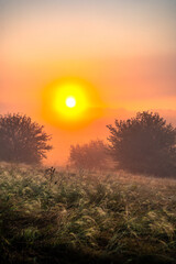 Red sunrise over the beautiful field and trees . Red clouds and sky with sun. Sun over the trees . Summer field at morning . Fog and sky . Beautiful landscape at summer with fog 