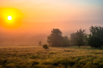 Red sunrise over the beautiful field and trees . Red clouds and sky with sun. Sun over the trees . Summer field at morning . Fog and sky . Beautiful landscape at summer with fog 