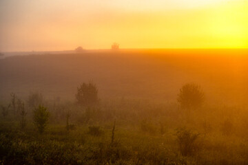 Red sunrise over the forest . Foggy morning at summer . Golden lights through the trees of forest . Green leaves and grass. Morning in forest . Golden sunrise 